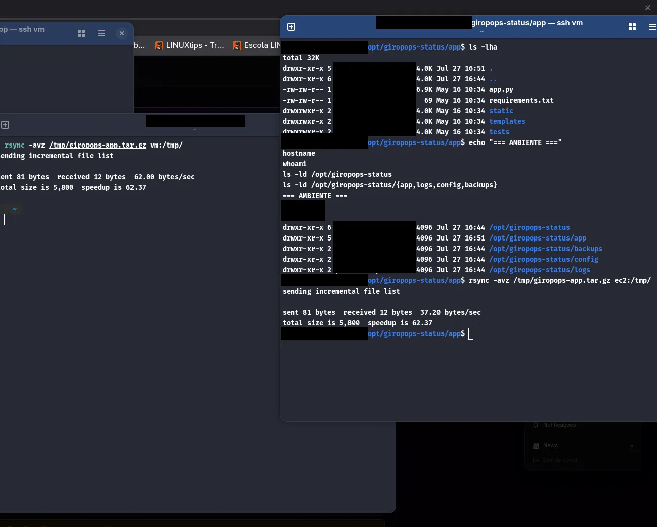 Application structure and transfer with rsync